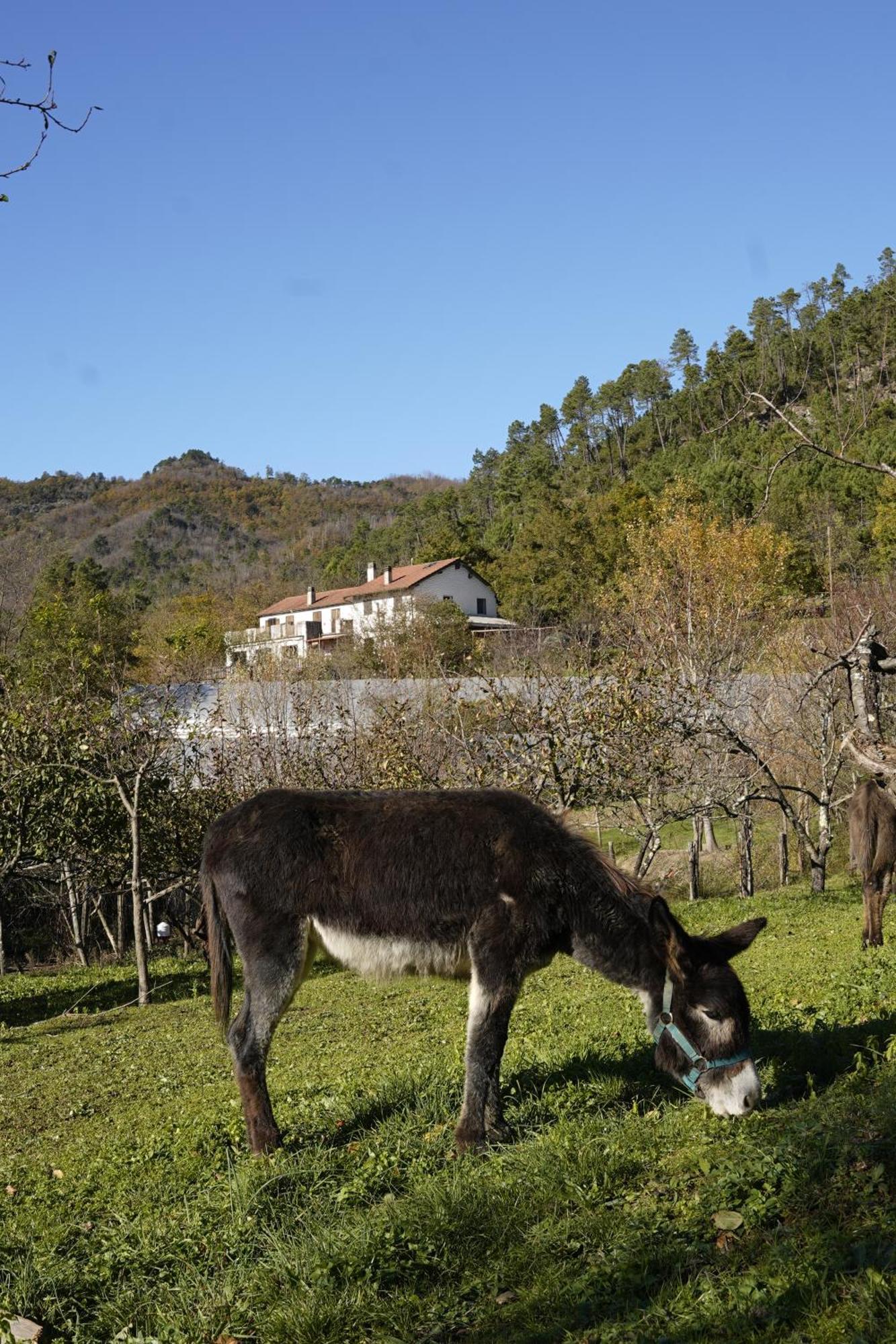Carro Agriturismo Ca Du Chittu מראה חיצוני תמונה