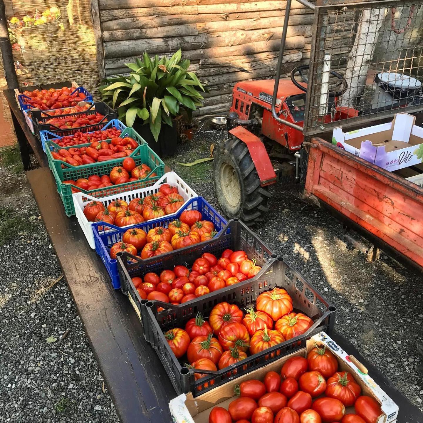 Carro Agriturismo Ca Du Chittu מראה חיצוני תמונה